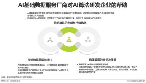2024年中國(guó)AI基礎(chǔ)數(shù)據(jù)服務(wù)研究報(bào)告 互聯(lián)網(wǎng)安全服務(wù)